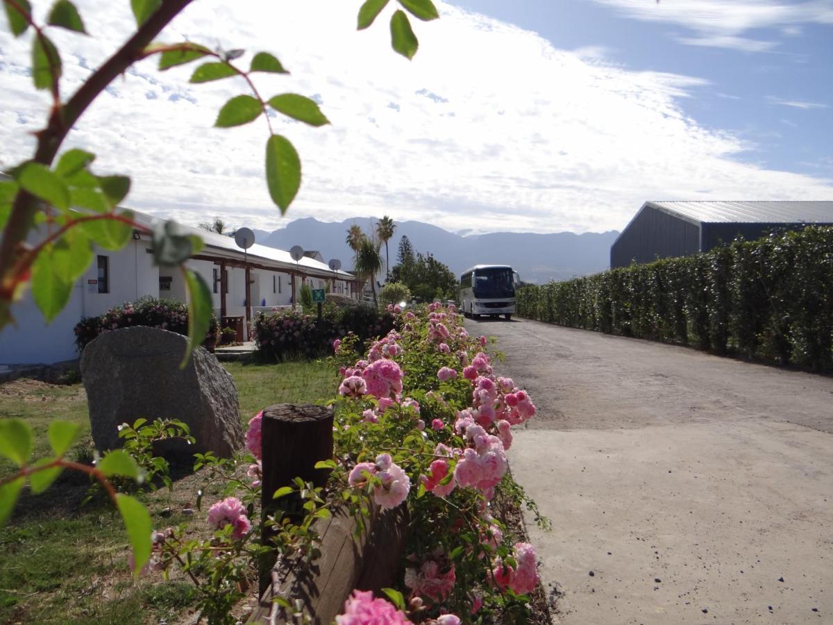 Middelplaas Paarl Guesthouse Eksteriør bilde