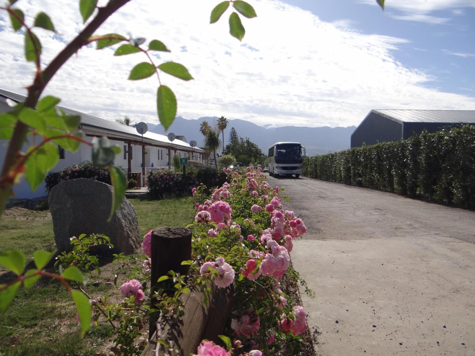 Middelplaas Paarl Guesthouse Eksteriør bilde